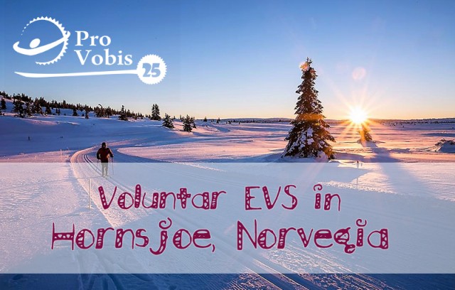 EVS Norway