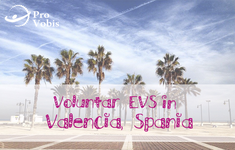 You are currently viewing EVS – „Supporting Learning Communities” – Valencia, Spania