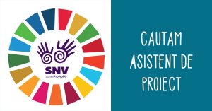 Read more about the article Căutăm asistent de proiect